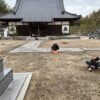Thumbnail of related posts 047