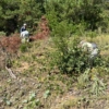 Thumbnail of related posts 113