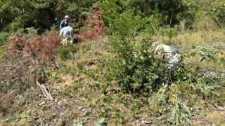 Thumbnail of post image 079