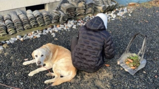 Thumbnail of post image 009