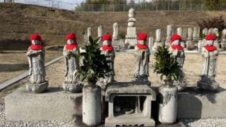 Thumbnail of post image 012